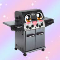TheTRUEegrill